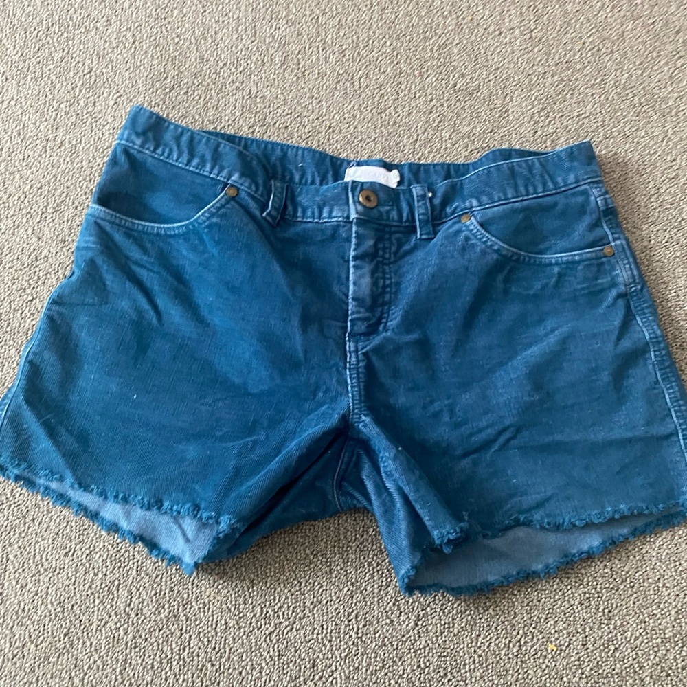 Carve Design Blue  Women's Shorts